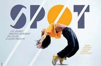 Festival SPOT – Nantes : appel à projets 2015 jusqu'au 5 Janvier