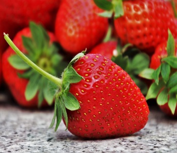 Recherche cueilleurs de fraises pour l'été