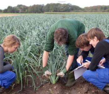 Emplois saisonniers agricoles : ça recrute en Loire-Atlantique et en Vendée
