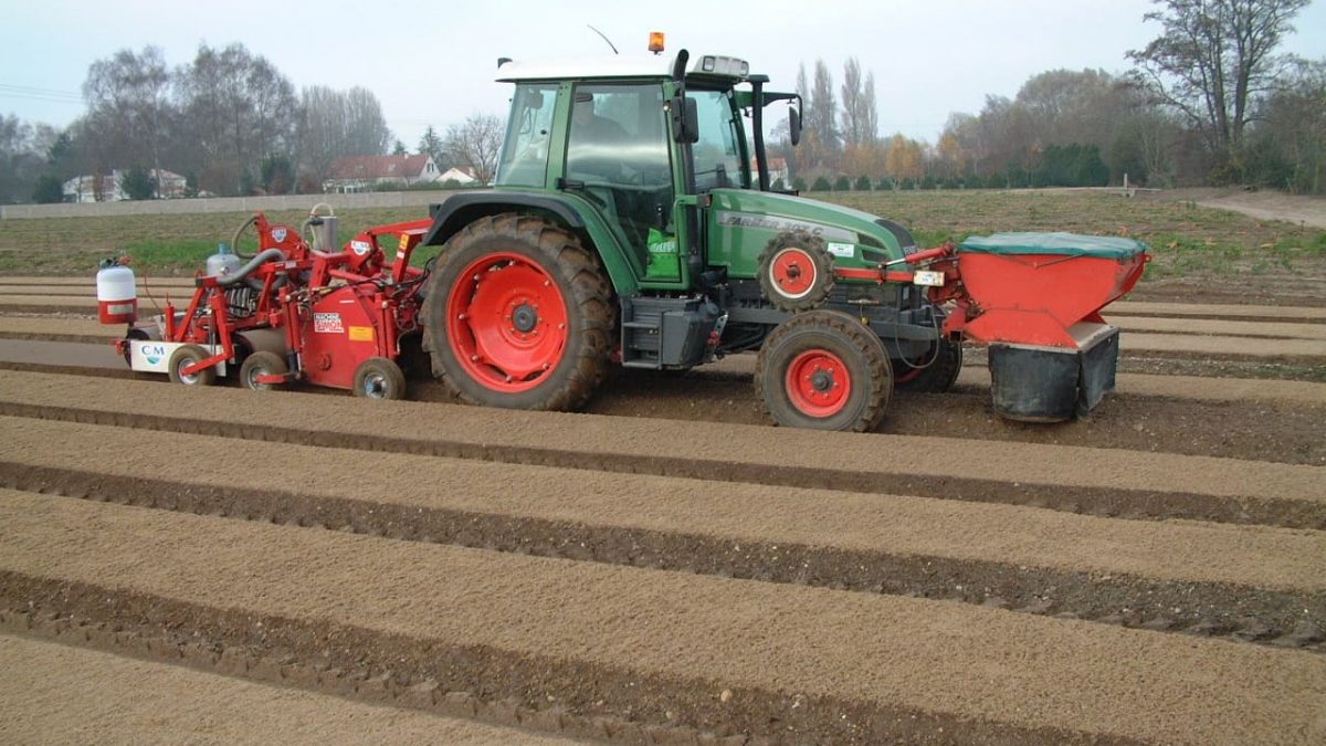 Les maraîchers Nantais embauchent en contrat de professionnalisation