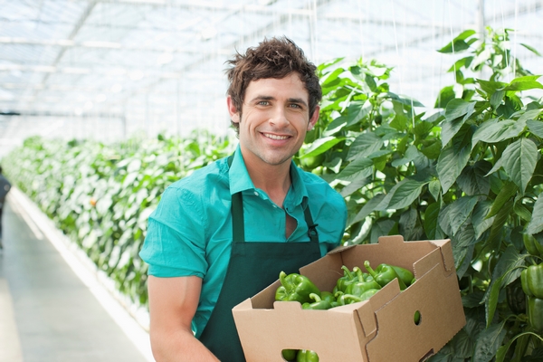 Loi travail et emplois saisonniers