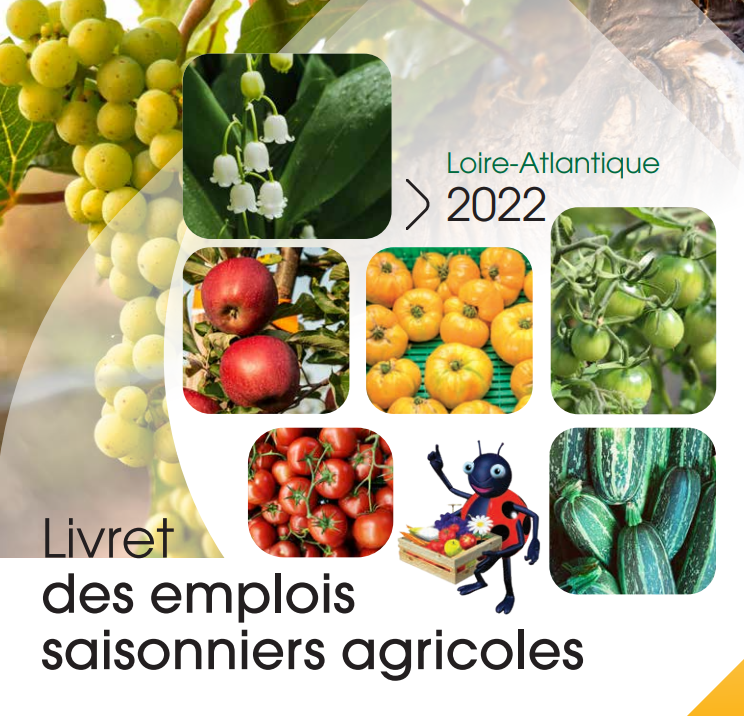 Livret des emplois saisonniers agricoles | édition 2022